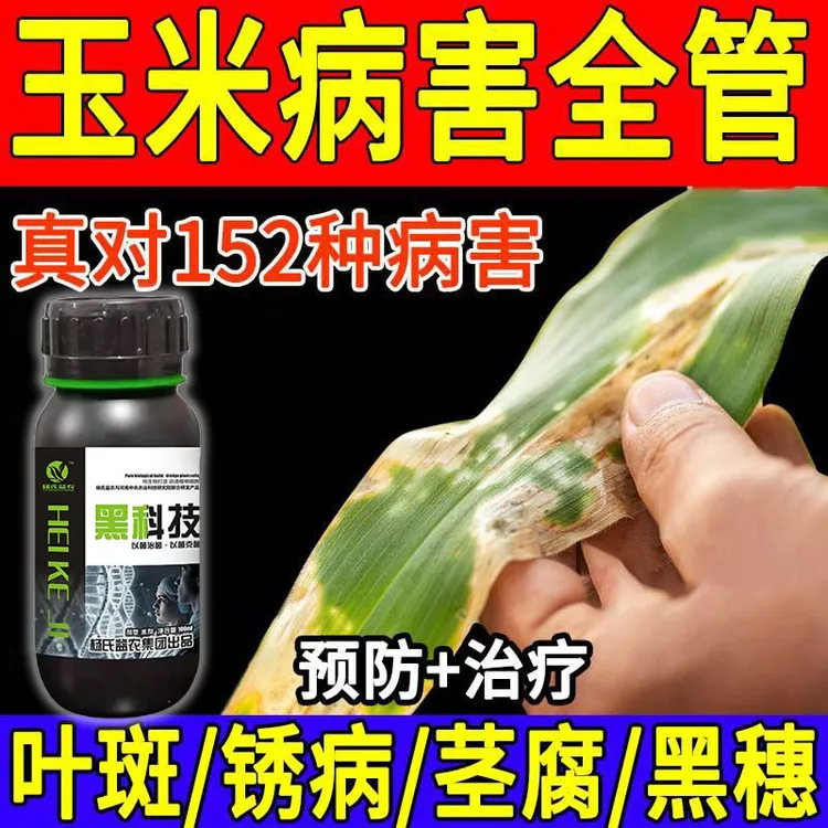 玉米病全治黄叶病药叶斑病枯萎烂根玉米花叶病锈病黄化农用肥料
