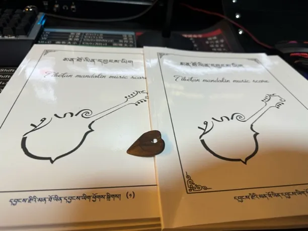 曼陀铃初学者拨片木质