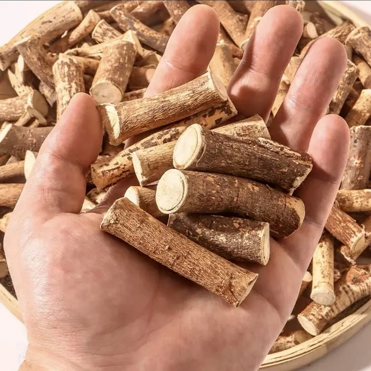 粤北大山五指毛桃