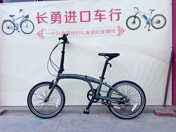 丸石折叠内五速皮带传动自行车