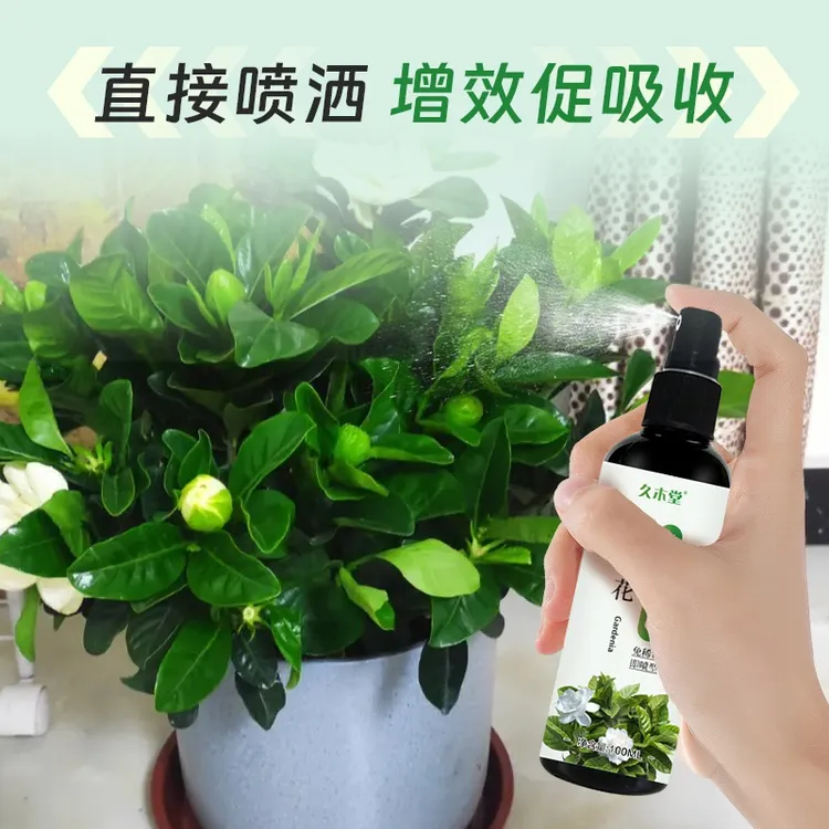 栀子花专用肥料治黄叶掉苞不开花酸性盆栽通用营养液花肥茉莉花开