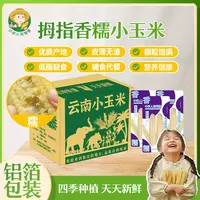 【小农人】云南拇指小玉米【低脂】新鲜采摘软糯鲜香即食代餐营养辅食
