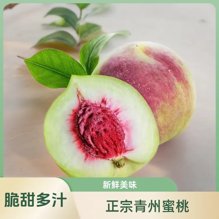 正宗青州蜜桃小毛桃冬桃采摘清脆新鲜脆桃桃子水果坏果包赔