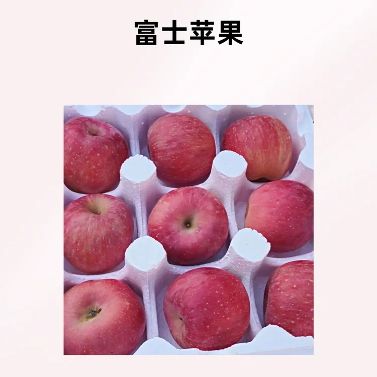 【福齐来】2024山东烟台栖霞富士新果（精挑细选果）