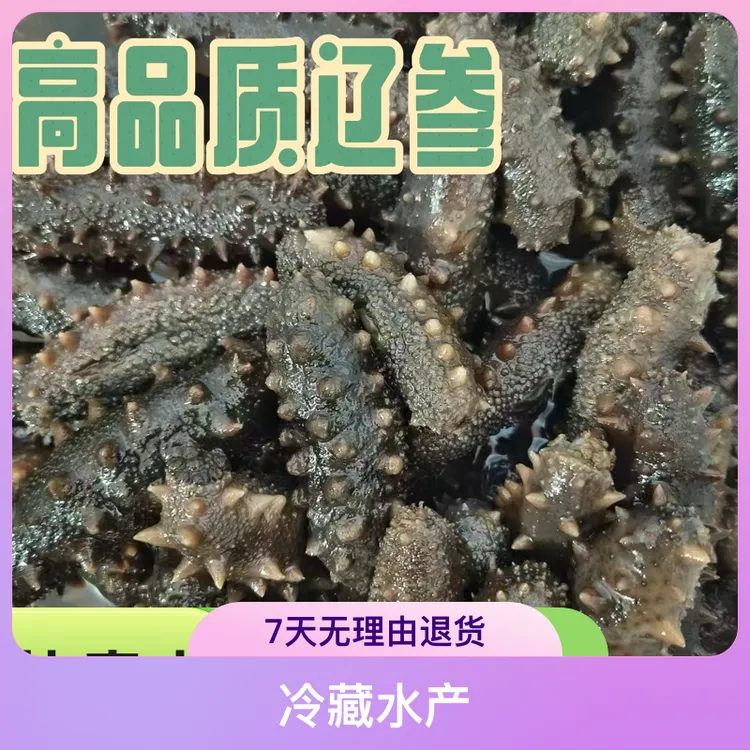 大连石城岛深海底播参拉缸盐海参[20至25头]