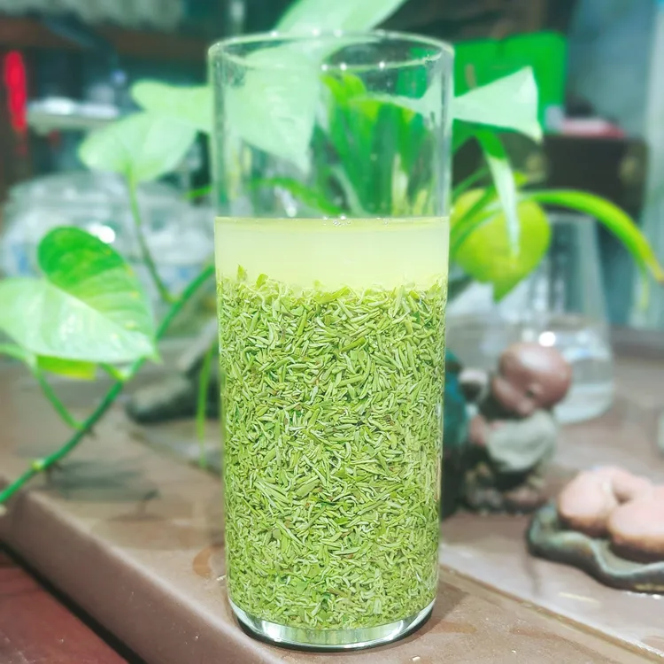 2025年新茶信阳毛尖茶茶碎断芽断碎茶末碎绿茶包邮网红2025茶叶