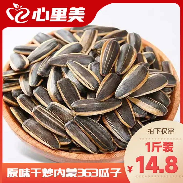 内蒙363大颗粒500g原味葵花籽瓜子袋装新货颗粒饱满炒货瓜子烘炒