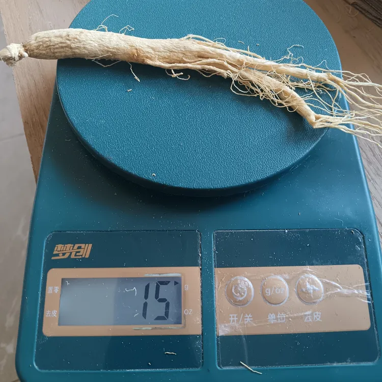 长白山特产 生晒人参 自然晾晒 初级农产品20颗左右250克140