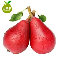 新鲜红啤梨5斤 当季梨子水果红皮梨软梨子(放软吃香甜软糯多汁)