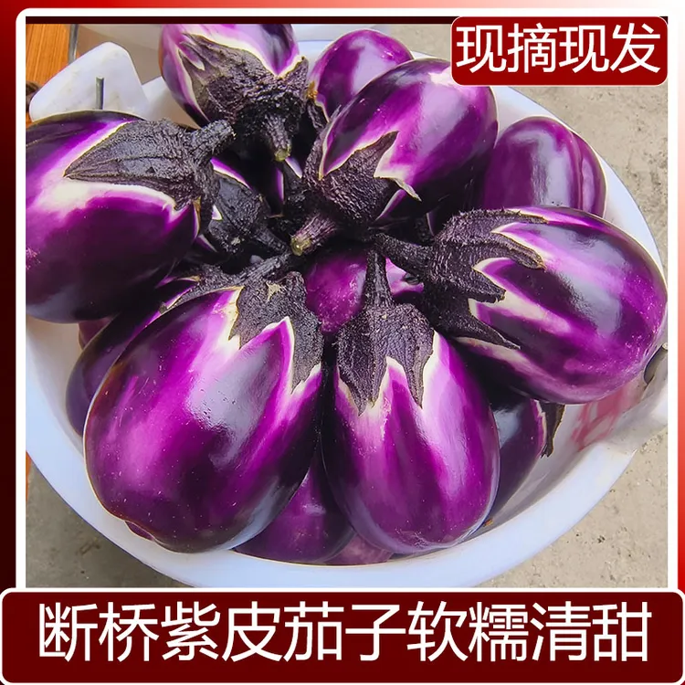 贵州新鲜椭圆茄子紫皮紫色圆茄子当季蔬菜时令蔬菜农家现摘现发