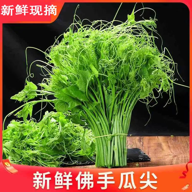 顺丰包邮新鲜佛手瓜尖龙须菜捧瓜尖应季蔬菜嫩尖凉拌菜顺丰包邮 