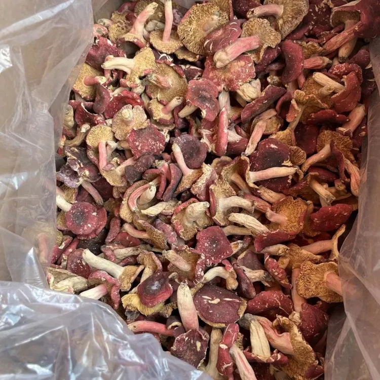礼品袋河南红菇煲汤煮菜野生河南红菇野生正宗500g