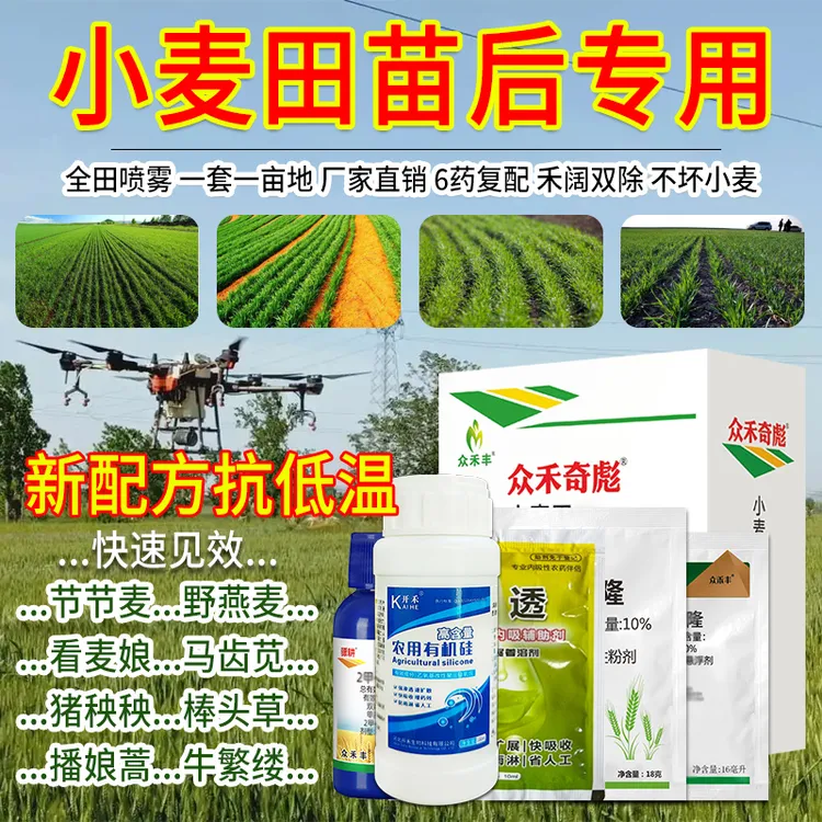 小麦苗后专用不影响小麦禾阔双滁野燕麦节节麦雀麦省肥料小麦地用