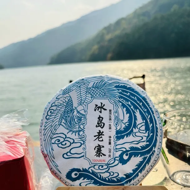 2023年冰岛老寨200克生茶饼