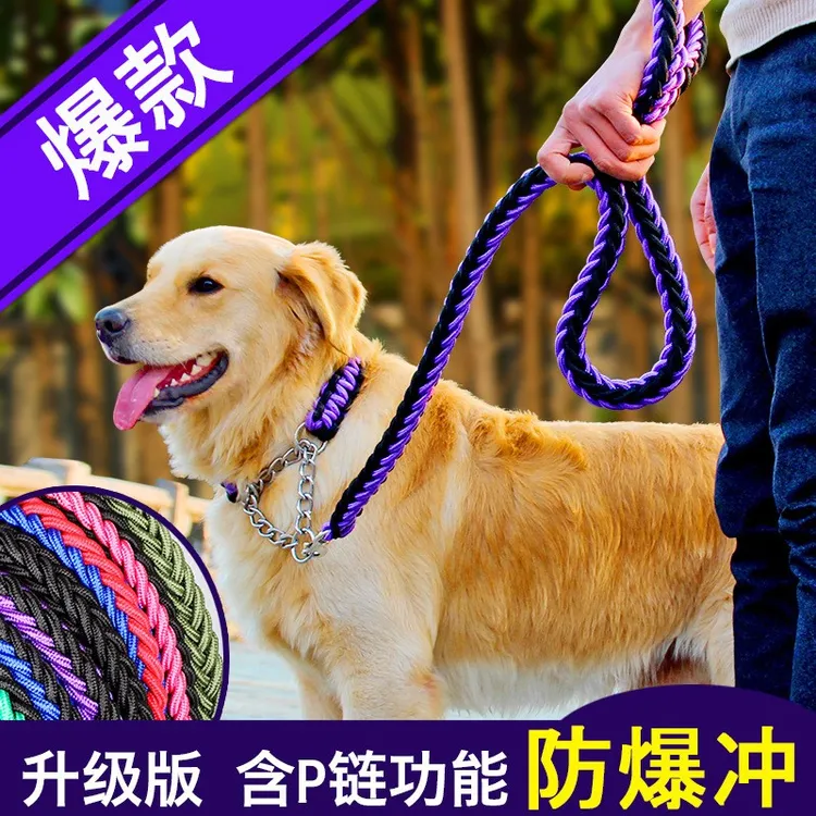 狗绳子八股绳P链项圈宠物狗狗脖子套防走失带大中型犬遛狗牵引绳