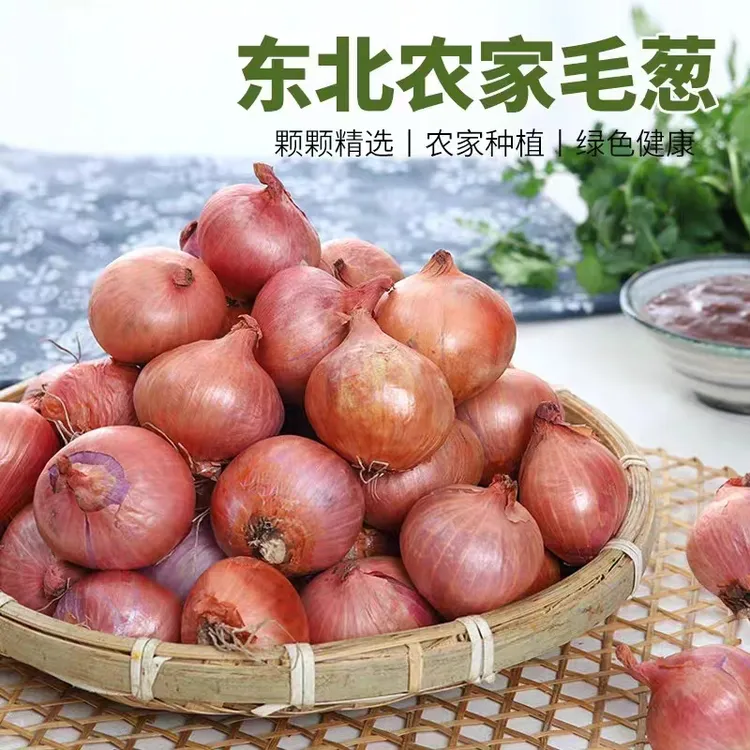 东北毛葱头农家特产，鬼干小洋葱头迷你圆红葱头