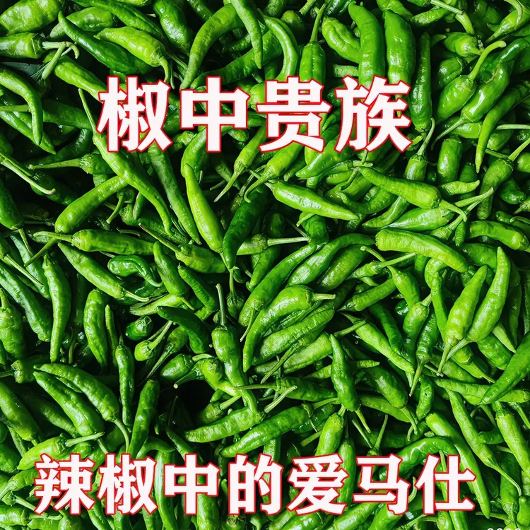 【顺丰包邮】新鲜正宗湖南辣椒樟树薄皮小青椒虎皮辣椒特辣微辣拌饭