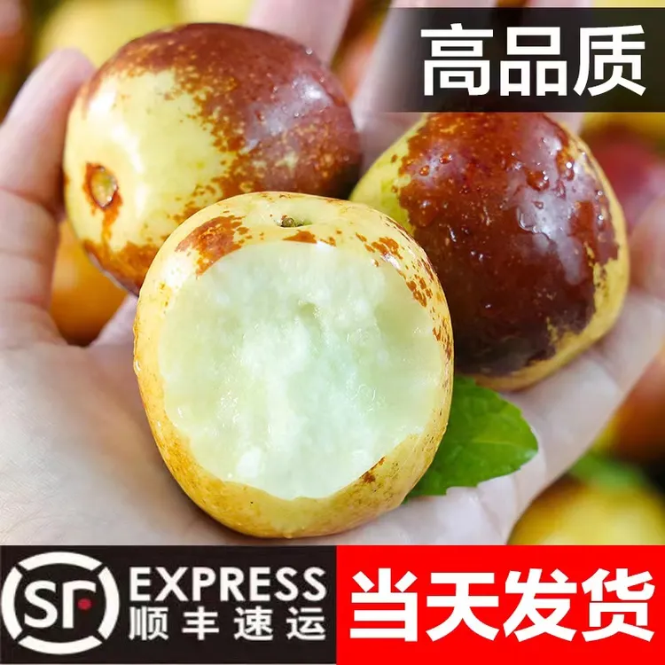 （高品质顺丰）山西庙上冰糖冬枣脆甜特大当季新鲜水果批发3/5斤。