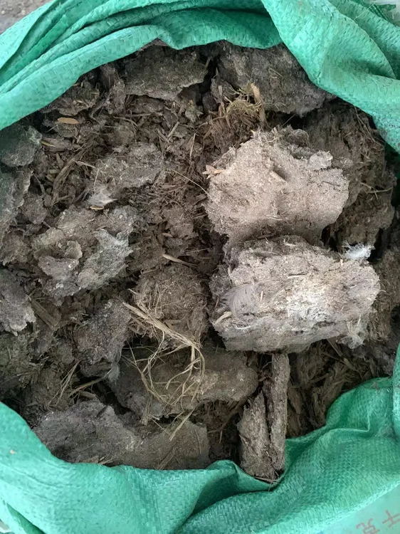 纯鸭粪花肥有机发酵过晒干三角梅促花叶枝条主干生长延长花期效果