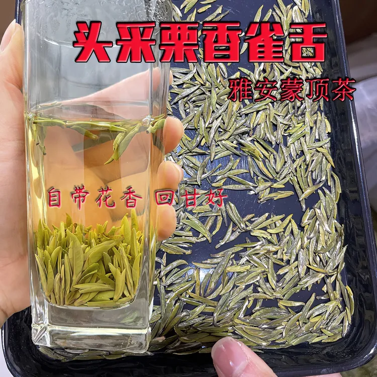 高端栗香雀舌脆香甘甜2025年新绿茶雅安蒙顶山茶明前头采蒙顶石花