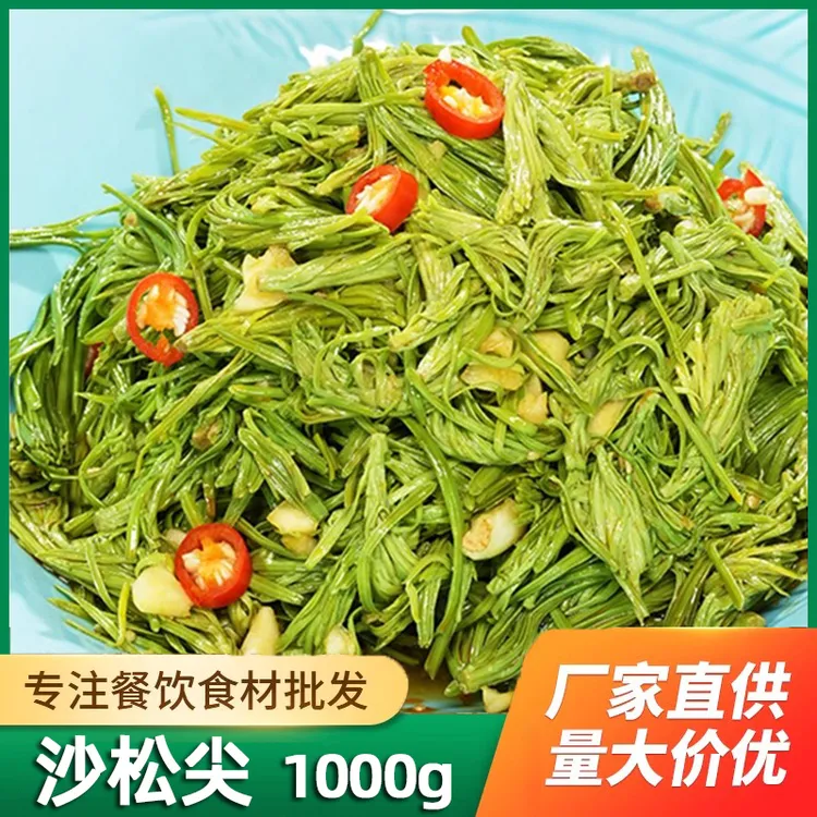 新鲜沙松尖做法1000g野菜炒腊肉蔬菜素菜凉菜沙松尖凉拌菜冷盘