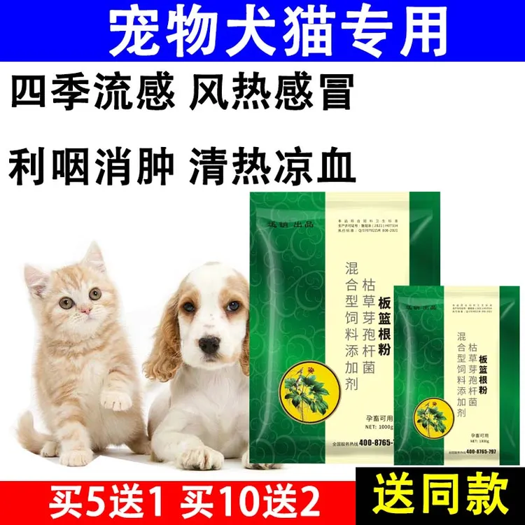 兽用板蓝根粉 1000克 猪牛羊鸡鸭鹅肉狗孕畜可用