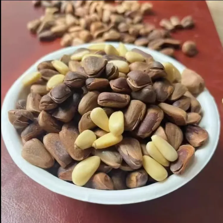 2024年笨炒松子大颗粒开口