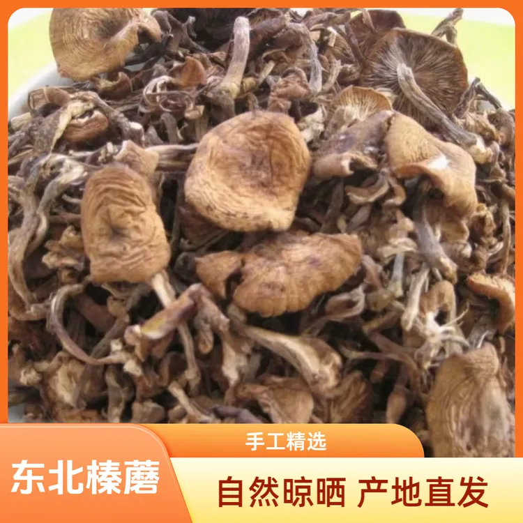 2025年东北橱窗特产榛蘑自然晾晒橱窗精品榛蘑