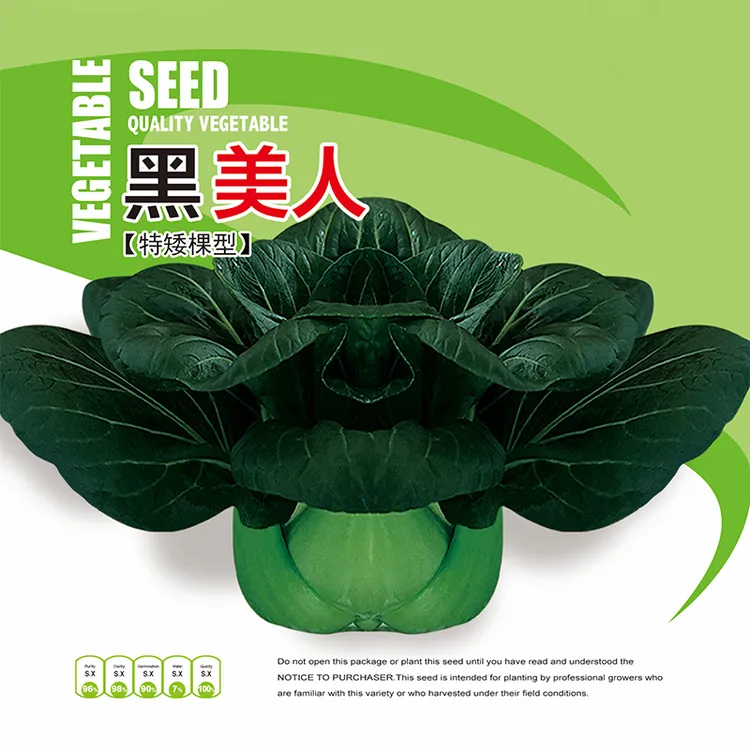 黑美人，真好吃苏州青菜种子适合菜园菜农大田种深绿色冬耐寒高产