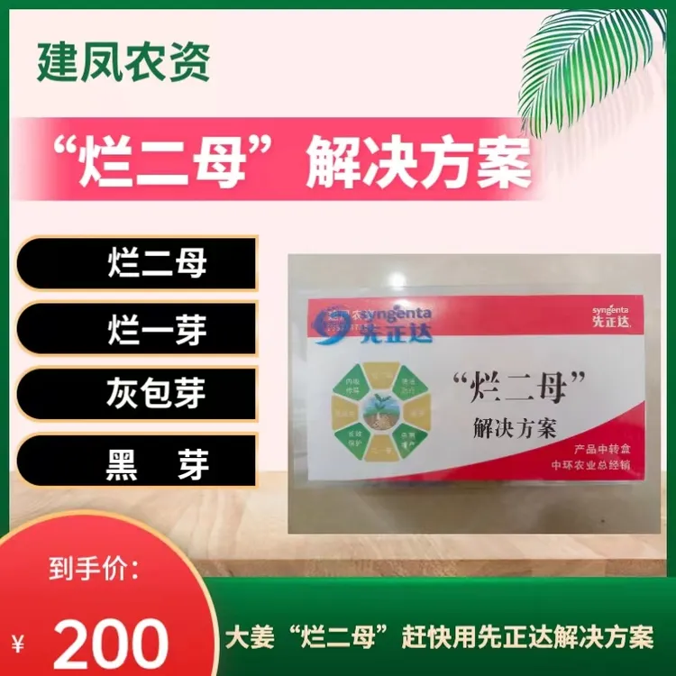烂二母解决方案组合套餐