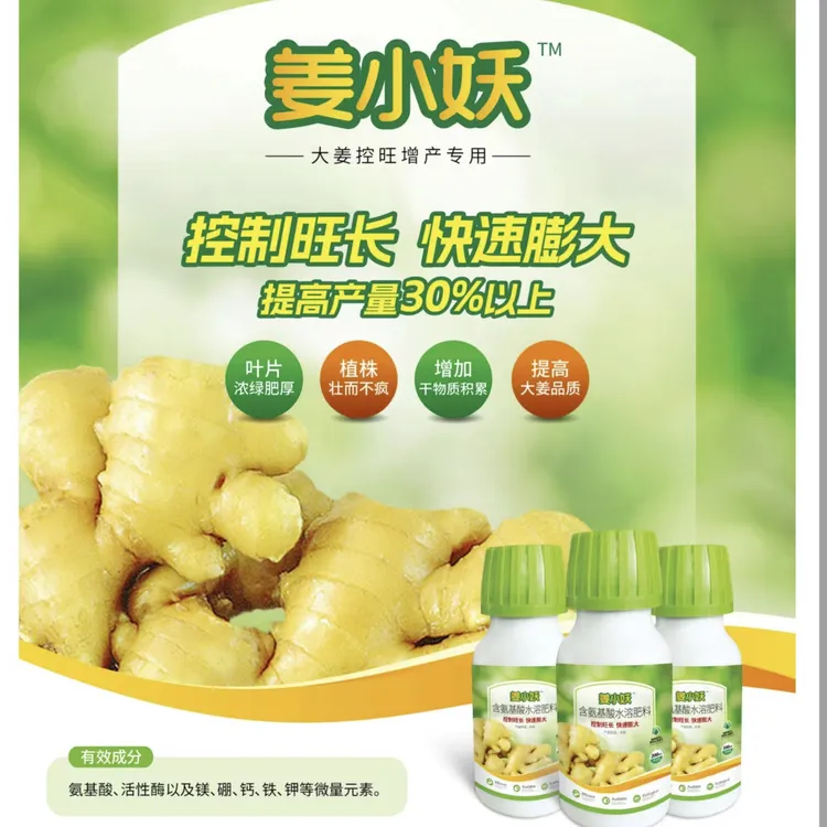 姜小妖中量元素控制旺长，快速膨大姜块肥料