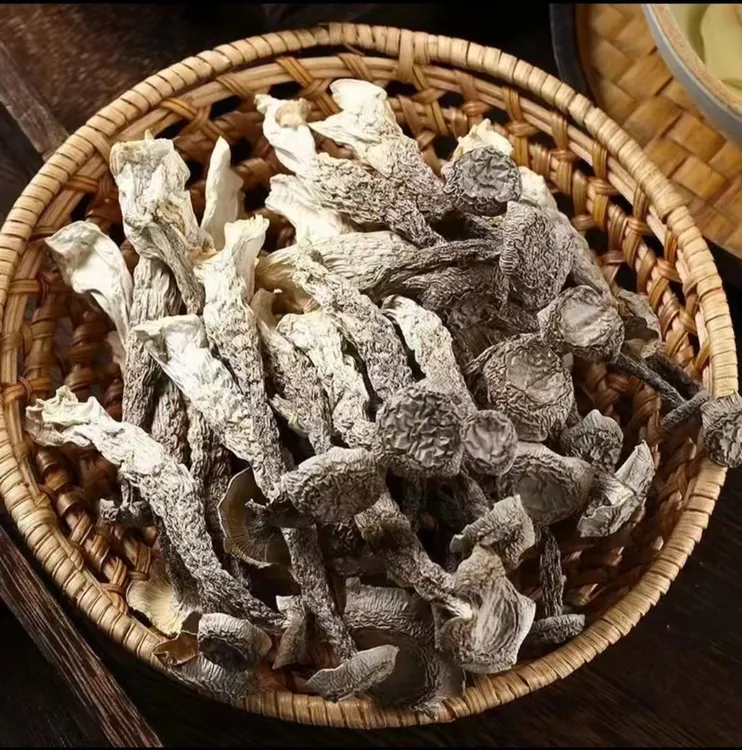 【鹿茸菇】干脆香嫩条形漂亮