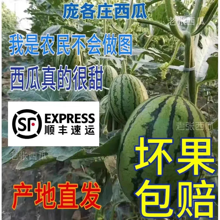 顺丰包邮 单果3-4斤左右 庞各庄小西瓜 坏果包赔 天然农产品