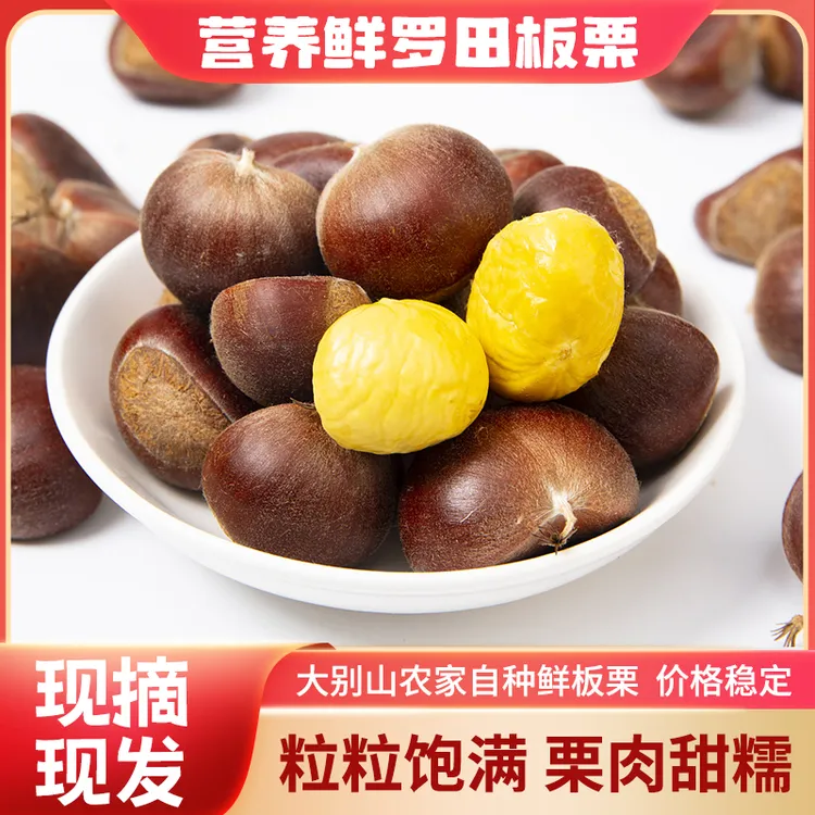罗田板栗现摘现发新鲜油栗红皮毛栗成熟自种栗子糖炒板栗产地直发