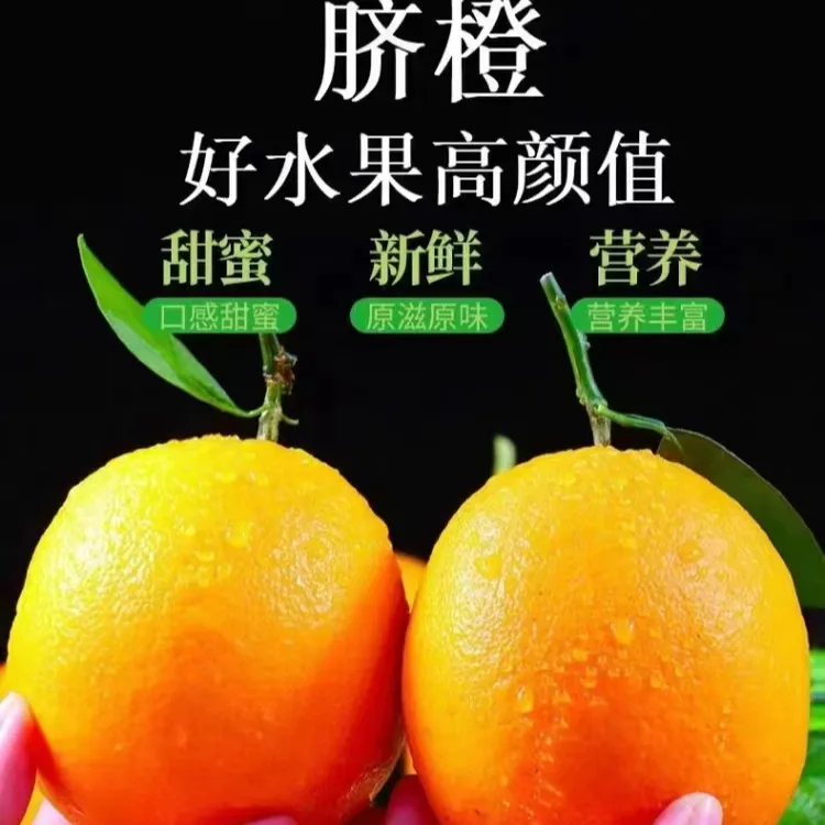 正宗雷波脐橙农家甜橙子现摘新鲜水果产地直发皮薄多汁孕妇水果