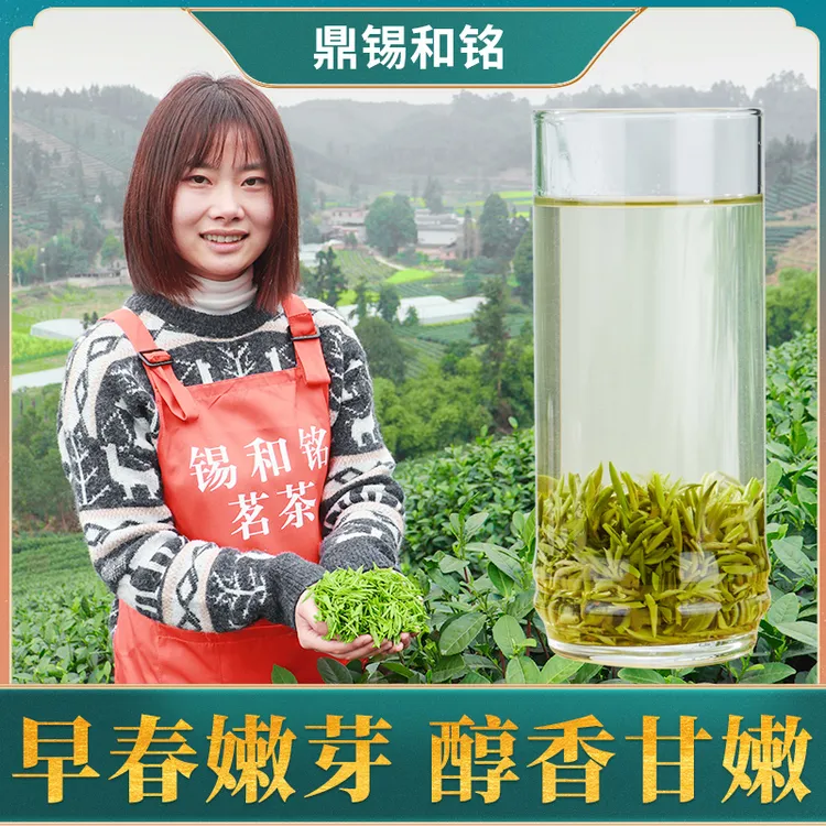 2025新茶春茶雪芽碧螺春花果香芽头肥嫩 茶叶浓香耐泡