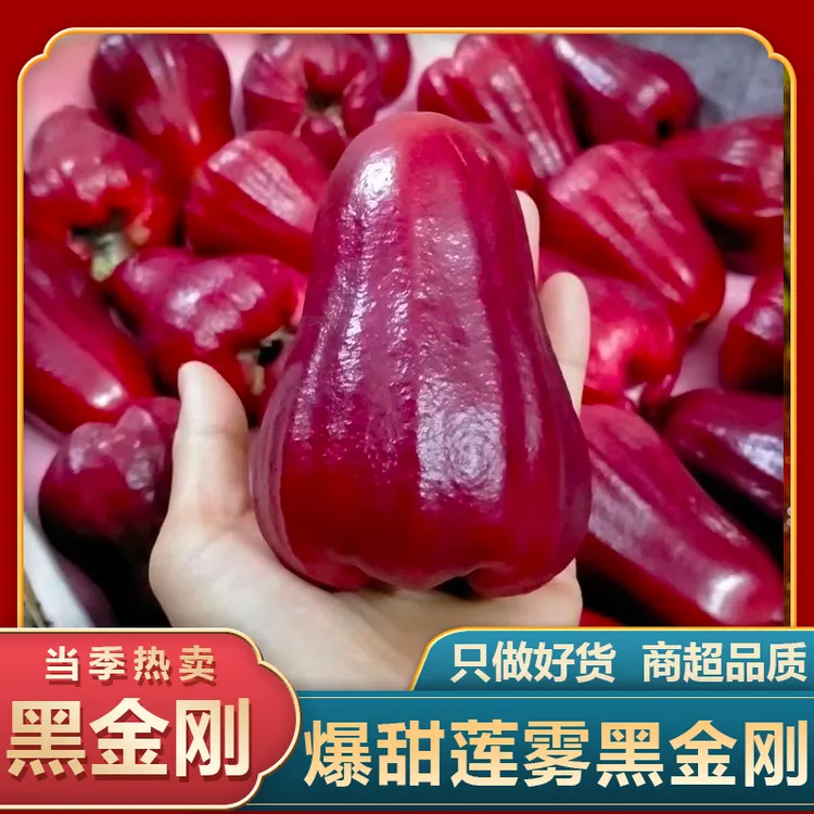 【顺丰包邮】海南精品清脆饱满爽口香甜新鲜黑金刚莲雾果仙女果多汁