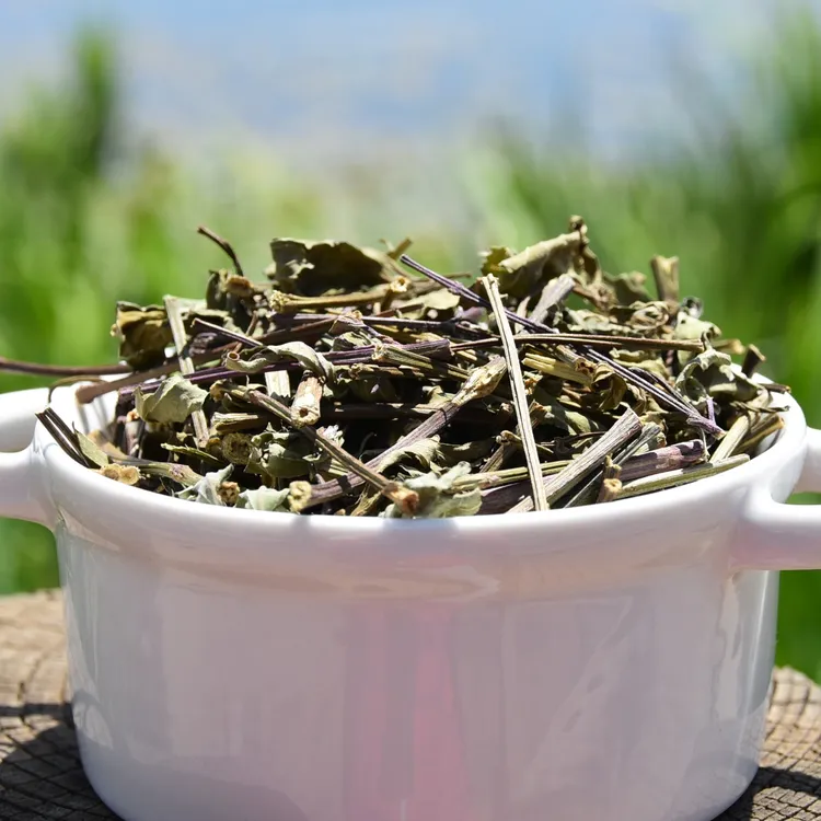 云南猫须草   云南西双版纳猫须公童子茶 肾茶云南发货