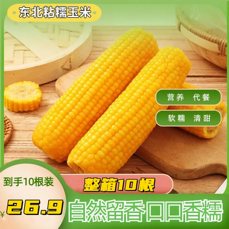 东北黑土地2024年黄糯玉米粘苞米轻食代餐(240克*10根)/箱 包邮