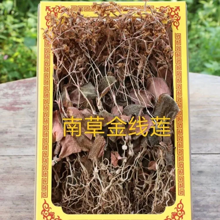 福建南靖正宗仿野生林下种植18个月金线莲开花干品50克