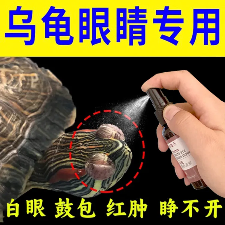 各种龟白眼蒙眼巴西草龟南石龟鼓包红肿小乌龟眼睛睁不开怎么办