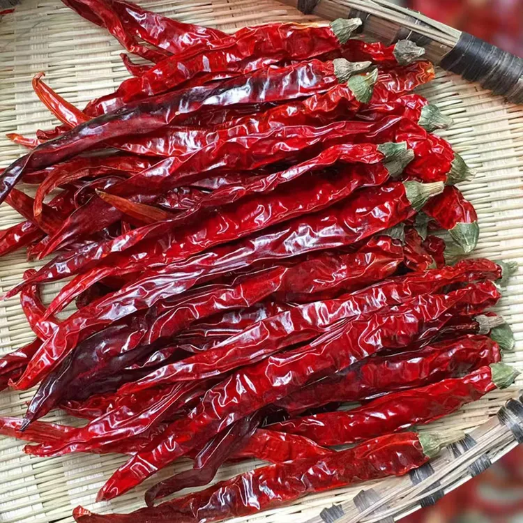 当季新货精选二荆条干辣椒微辣特香香辣红辣椒二金条人工挑选干净