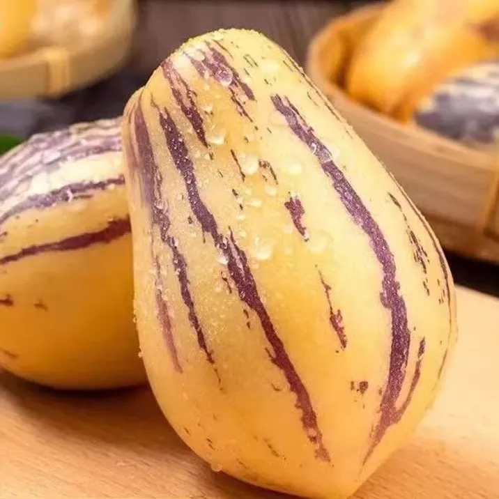 民勤沙漠人生果树上成熟正宗甘肃人参果黄肉水嫩多汁产地直发水果