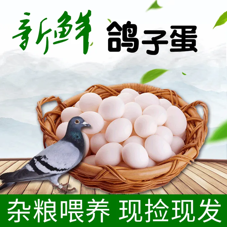 食用土特产鸽子蛋新鲜农家杂粮散养鸽子蛋顺丰包邮