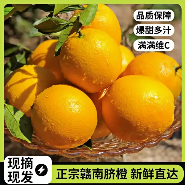 江西赣南脐橙正宗早脐橙新鲜应季果冻橙子现摘现发孕妇水果