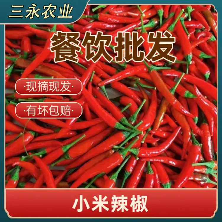 新鲜特辣小米辣椒朝天椒红辣椒可做剁椒泡椒农家种植产地现摘现发