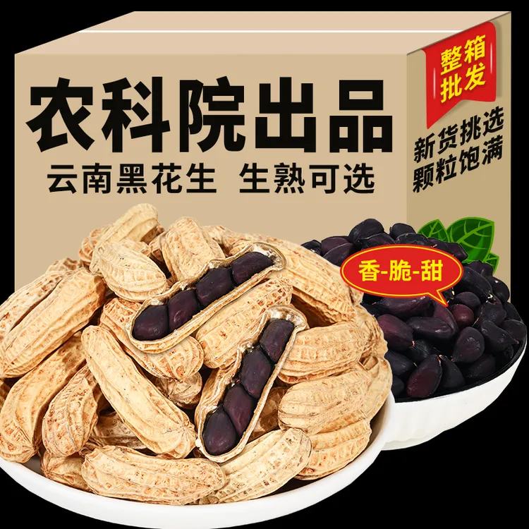 农科院黑花生新货云南特产新鲜晒干带壳生吃炒熟原味黑皮花生批发