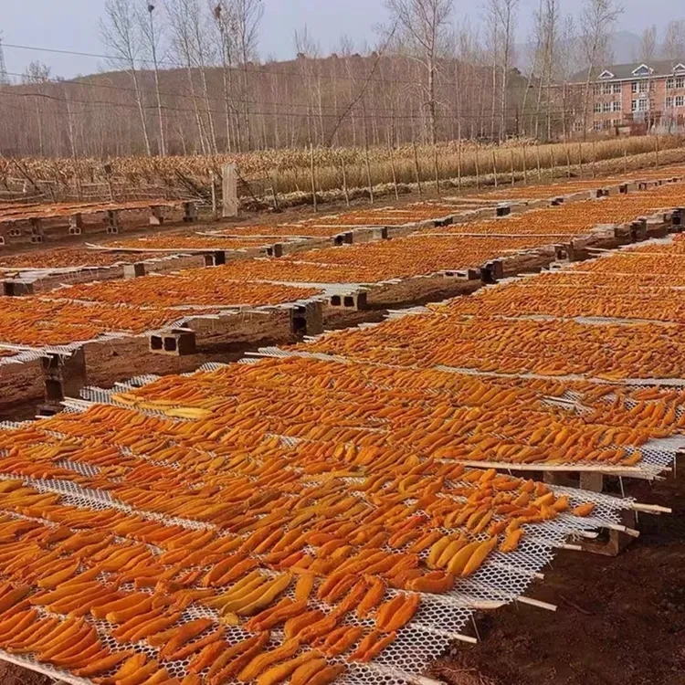 《原影》温州楠溪江土特产高山上的红薯干地瓜干