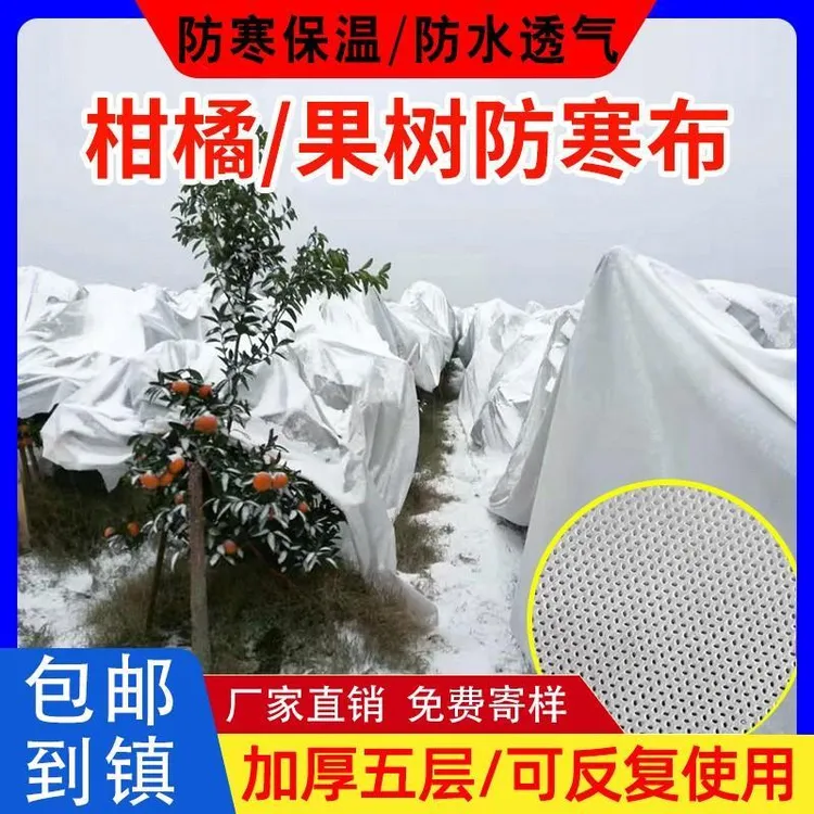 果园防霜防雨布柑橘果树防寒布保温膜透气蔬菜专用防冻农用无纺布