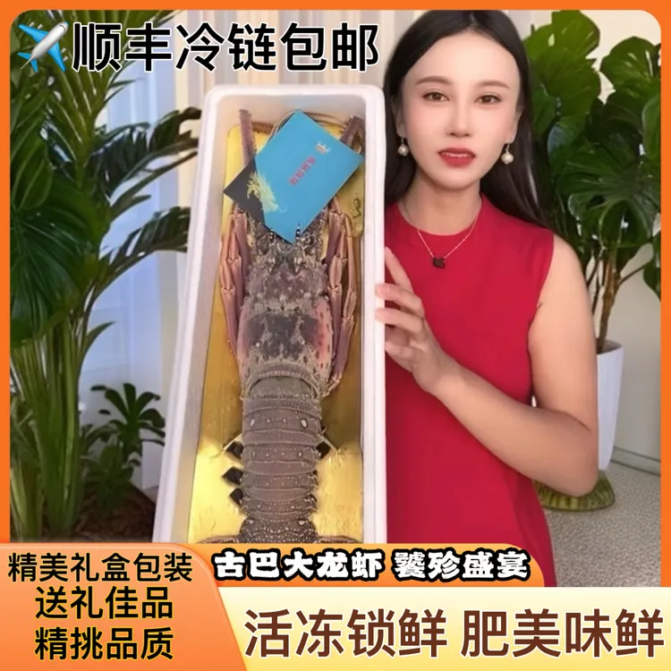 超大古巴龙虾鲜活大龙虾冷冻水产特大春节中秋过年送礼海鲜礼盒
